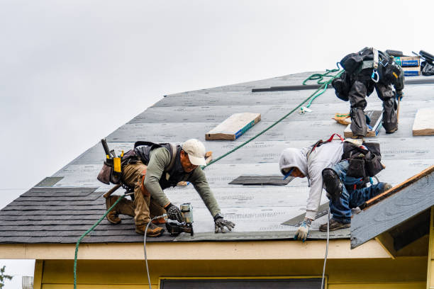Professional Gutter Installation technician working in Henning, TN